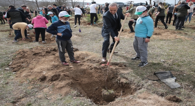 Bolu’da bu yıl 600 bini aşkın fidan toprakla buluşturulacak