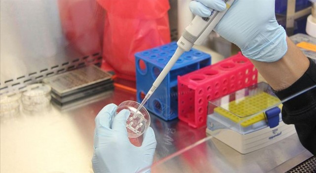 Türkiye, PCR test kiti üretiminde dünya sıralamasında ilk 3'te