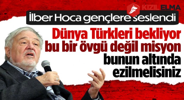 İlber Ortaylı: Dünya Türkleri bekliyor