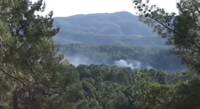 Burdur’da ormanlık alanda yangın
