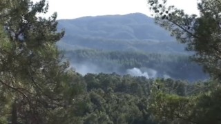 Burdur’da ormanlık alanda yangın