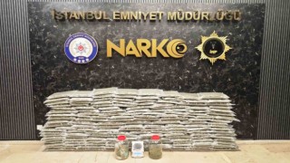 İstanbul ve Kocaeli’de uyuşturucu operasyonu: 100 kilo skunk maddesi ele geçirildi